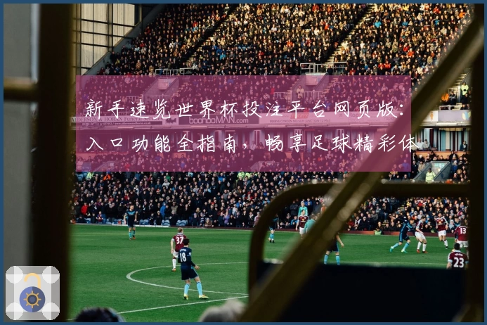 新手速览世界杯投注平台网页版：入口功能全指南，畅享足球精彩体验