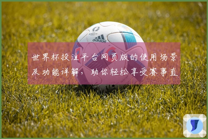 世界杯投注平台网页版的使用场景及功能详解，助你轻松享受赛事直播