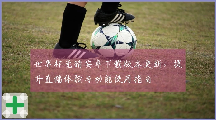 世界杯竞猜安卓下载版本更新，提升直播体验与功能使用指南