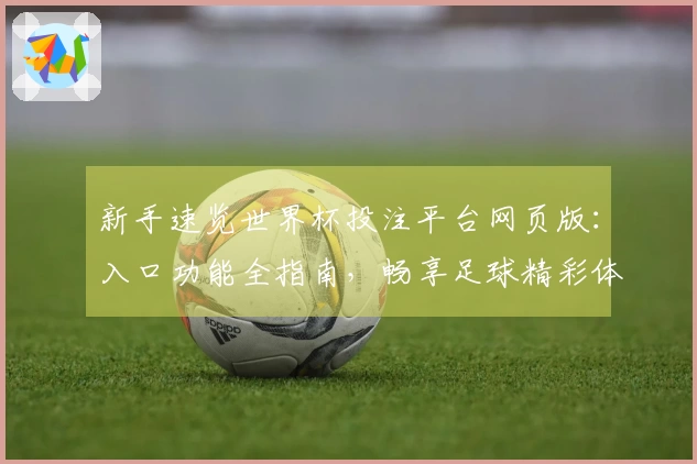 新手速览世界杯投注平台网页版：入口功能全指南，畅享足球精彩体验