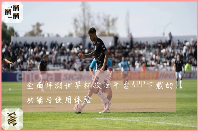 全面评测世界杯投注平台APP下载的功能与使用体验